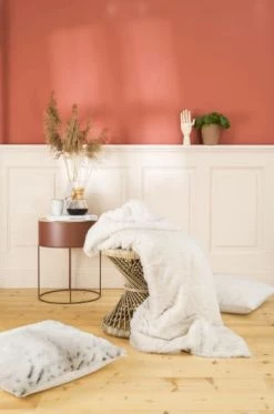 Magma Plaids Plaid Fausse Fourrure écureuil Gris Brun Doublure Unie 200x150 -Plaids Soldes plaid fausse fourrure vison ivoire doublure unie 200x150 6